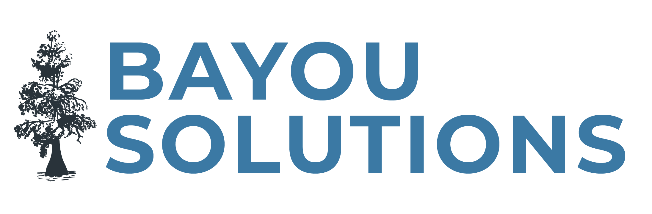 Bayou Solutions